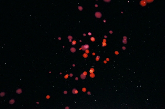 EventHorizon-16.JPG