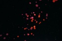 EventHorizon-16