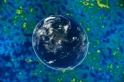 EventHorizon-25
