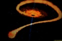 2013-LiftOff-Moon-Well-062