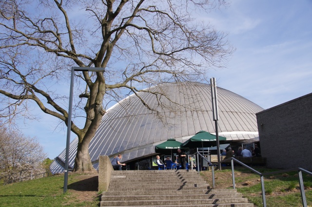 DSC08454.JPG