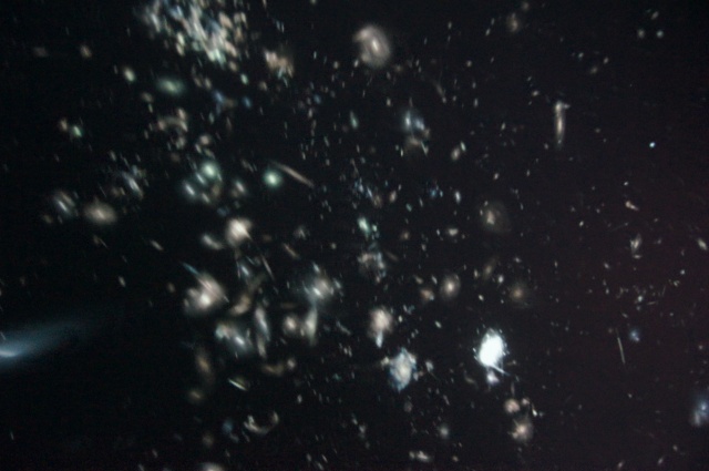 DSC00377.JPG