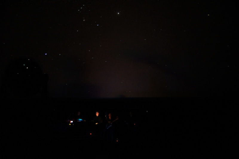 DSC05489.jpg