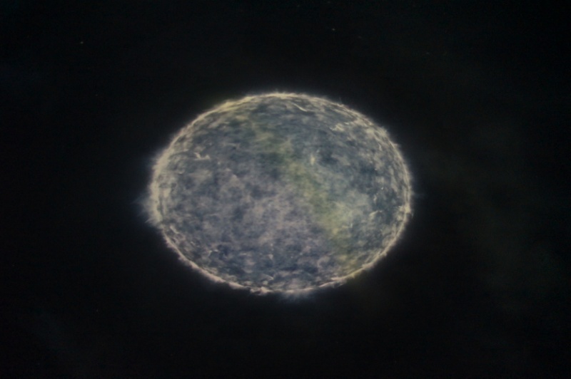 2016-PlaMue-CosmNight-51.jpg