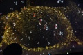 2016-PlaMue-CosmNight-24