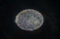 2016-PlaMue-CosmNight-51
