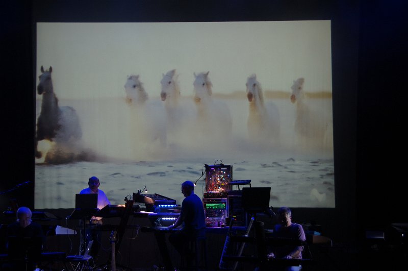 2018-E-Live-47.JPG