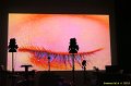 2019-E-Live-20