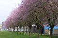 2025-Dreams-Gueterhallen-003