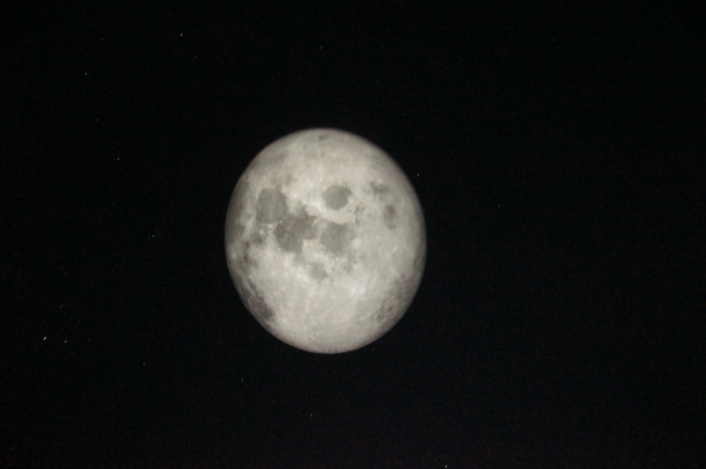 DSC00091.JPG