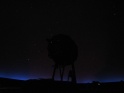 ambient-plabo2008_07
