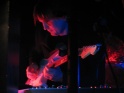 ambient-plabo2008_20