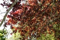 DSC00912