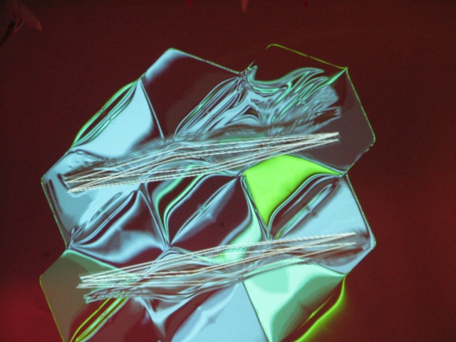 jhv2008_35.jpg