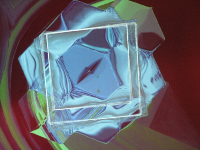 jhv2008_38.jpg