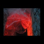 trier06-31.jpg