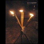 trier06-43.jpg