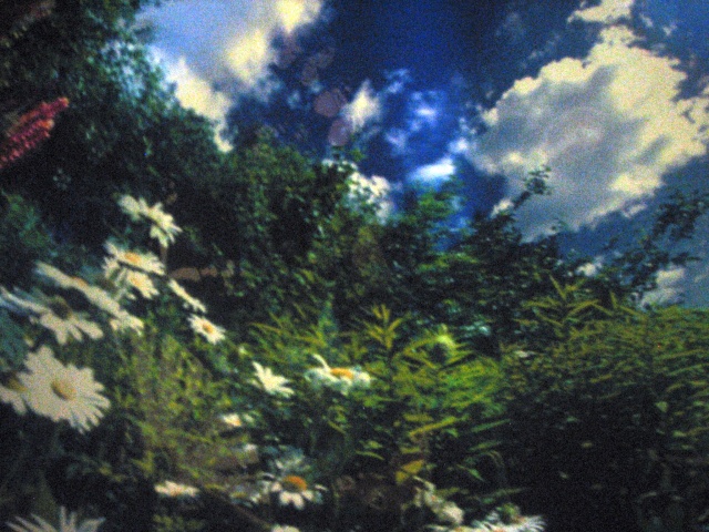 PlaBo-Wittek08-24.JPG